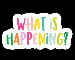 What The Fuck Is&nbsp;Happening?!?