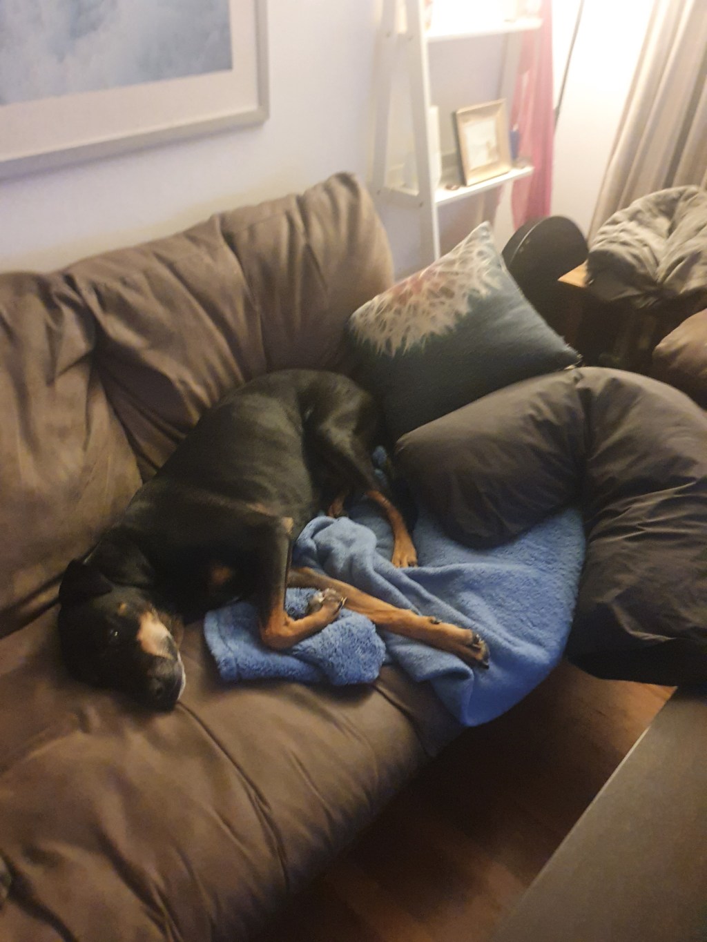 Left Boss alone for a few minutes&nbsp;..