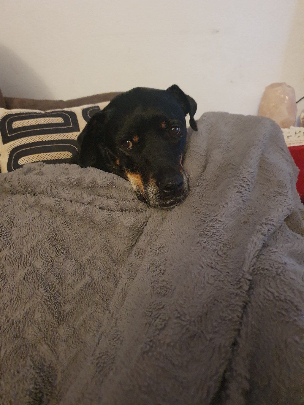 Reflections on today.. I was anxious when I started writing this post.. writing it out has helped me&nbsp;😊