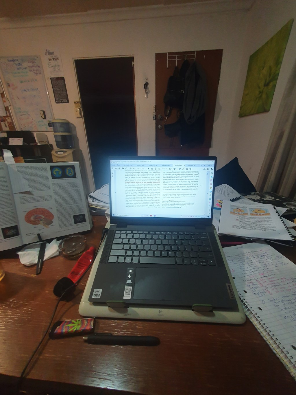 Working on my psychology literature review, smoking weed and listening to&nbsp;YouTube