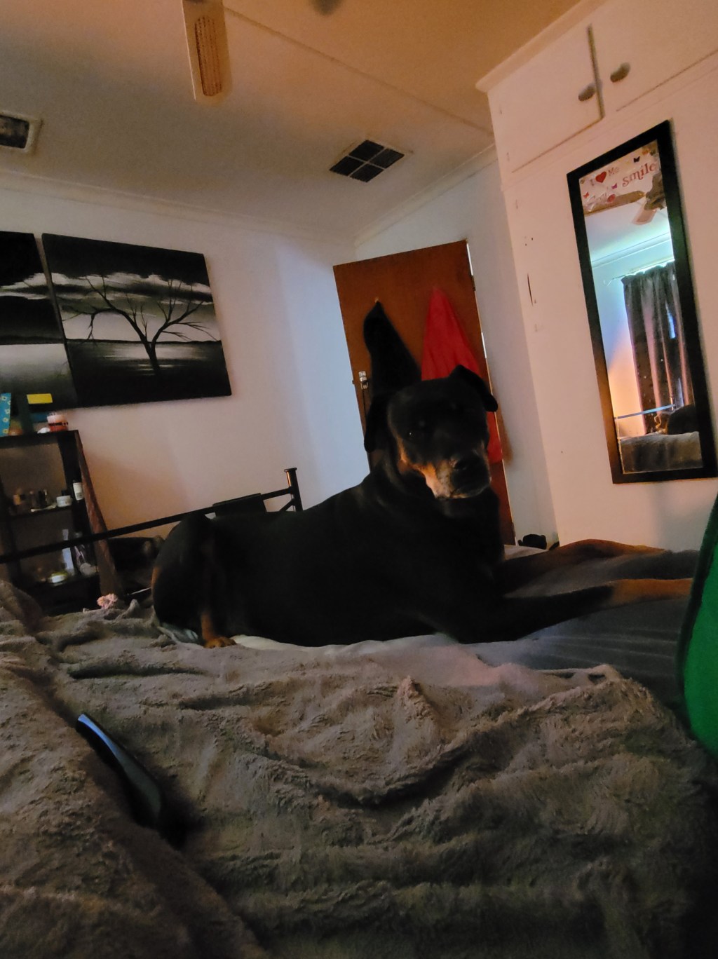 Lazy Sunday afternoon