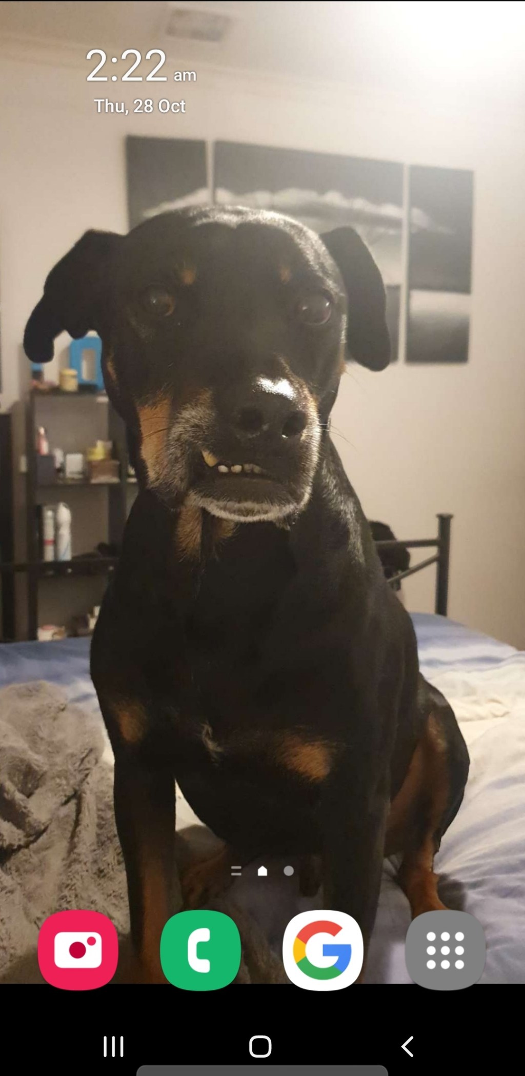 It’s 2:22am and yet I am at my desk working on this damn philosophy essay&nbsp;😅🤣