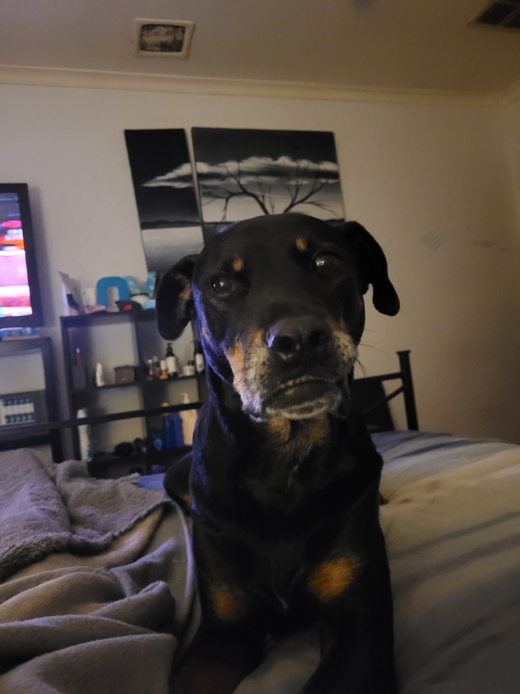 I can’t tell if I’m genuinely sad or just so physically, mentally and emotionally exhausted it’s making me sad&nbsp;😔