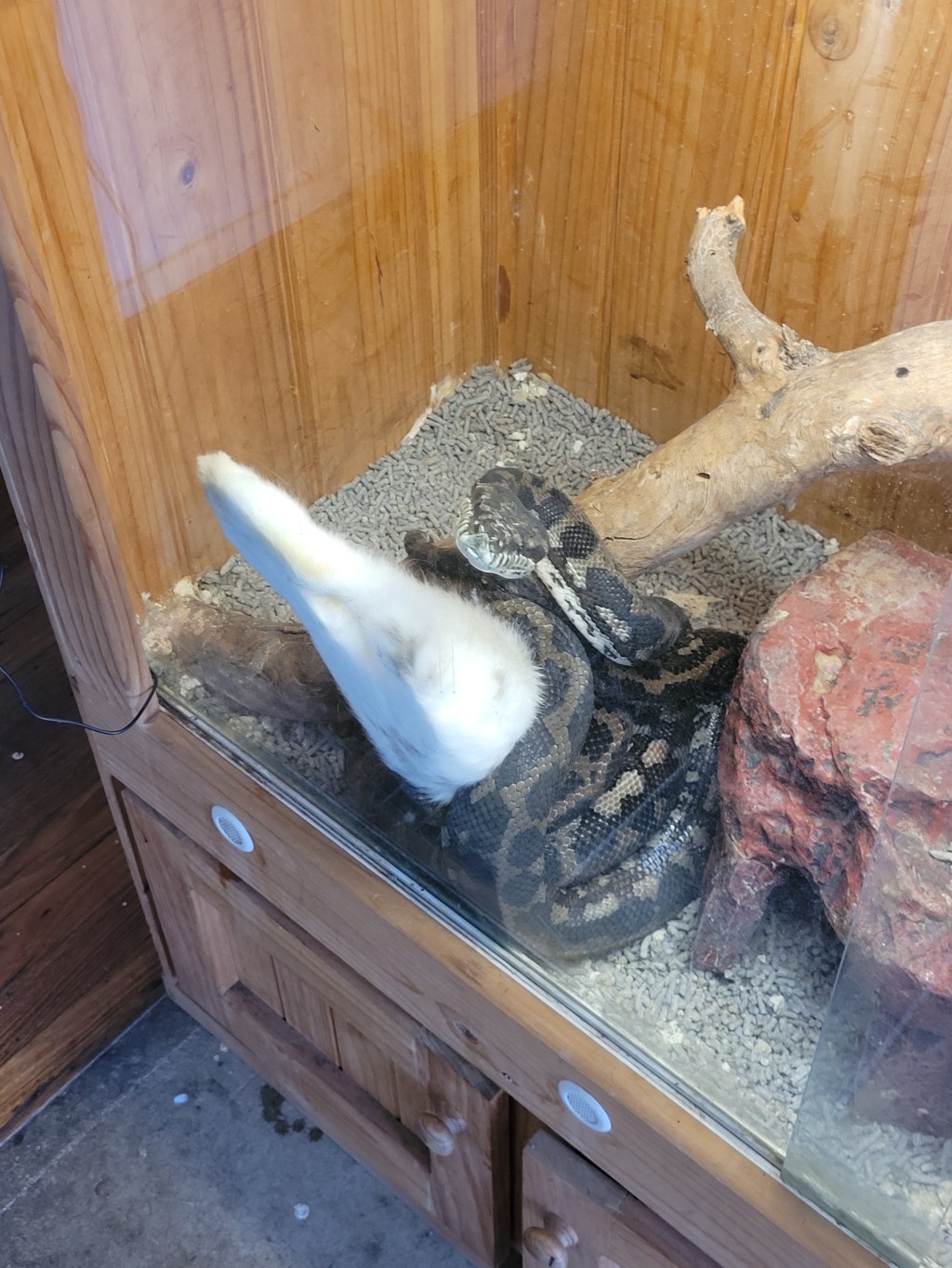 Thank goodness I can watch the movie in peace now&nbsp;😌