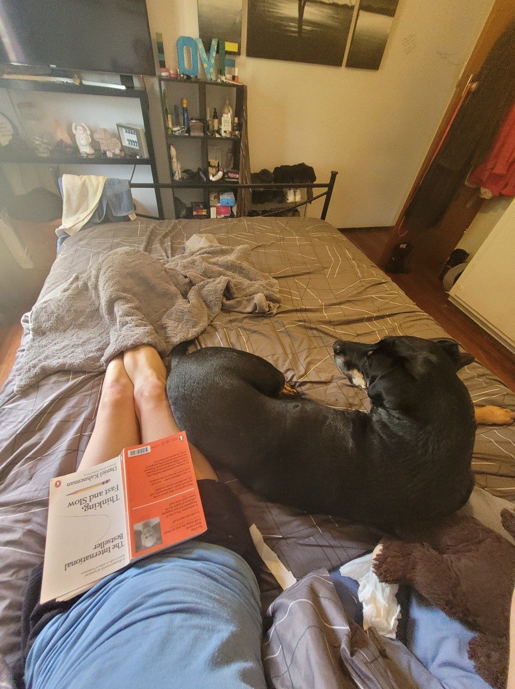 Boss is such a bed hog!