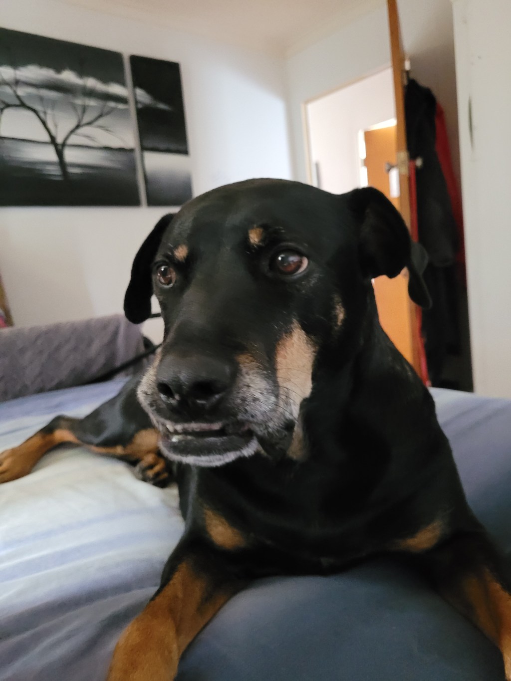 Boss, dinner and dessert has me feeling better already&nbsp;♡