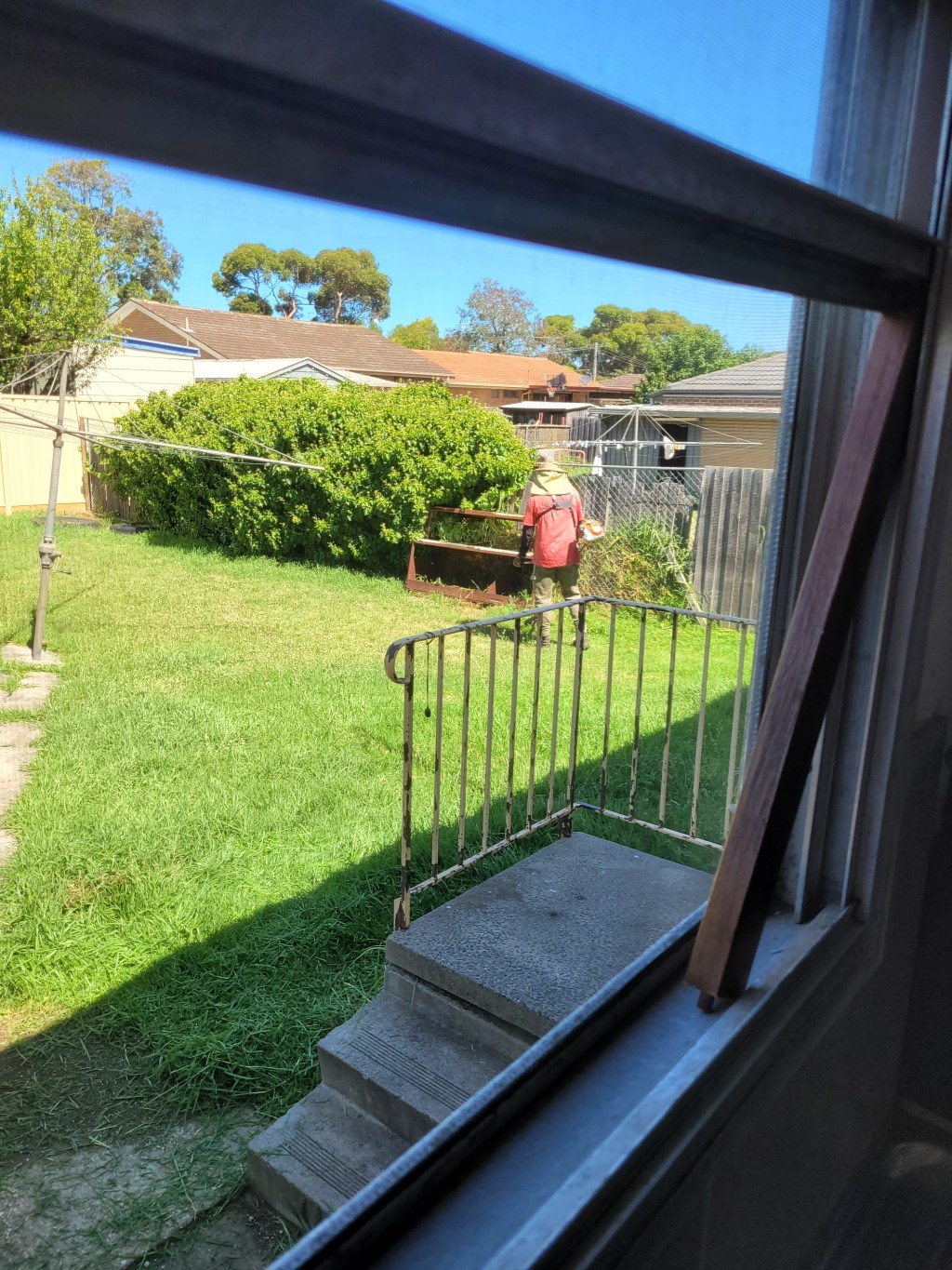 So happy I have a gardener&nbsp;😊