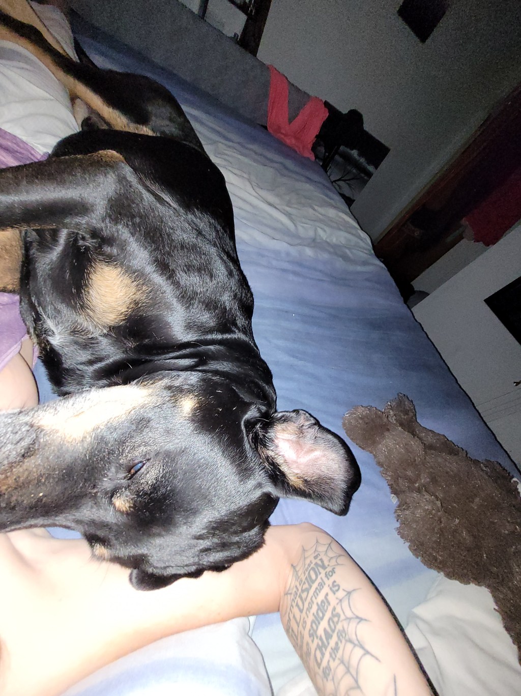 Cuddles with Boss are my favourite&nbsp;🥰