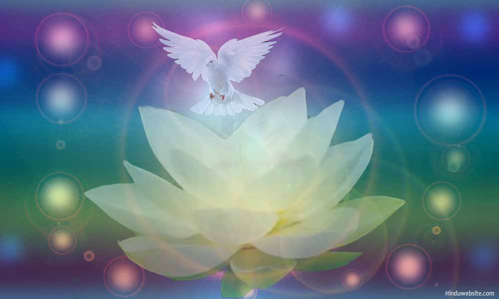 My doctor says I need to focus on my higher calling&nbsp;♡