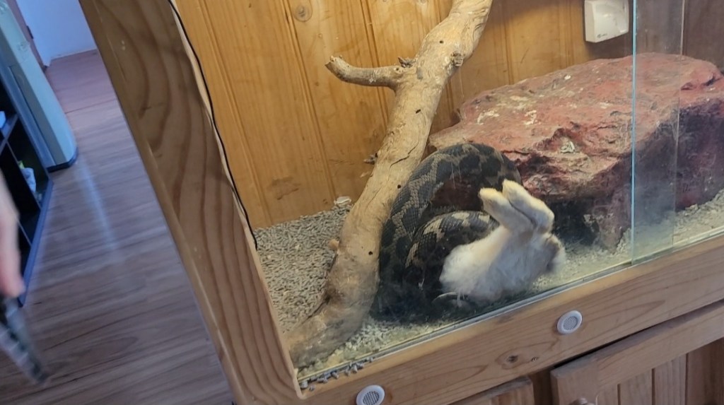 Watch “Sebastian having dinner ๐๐คค๐
” on YouTube