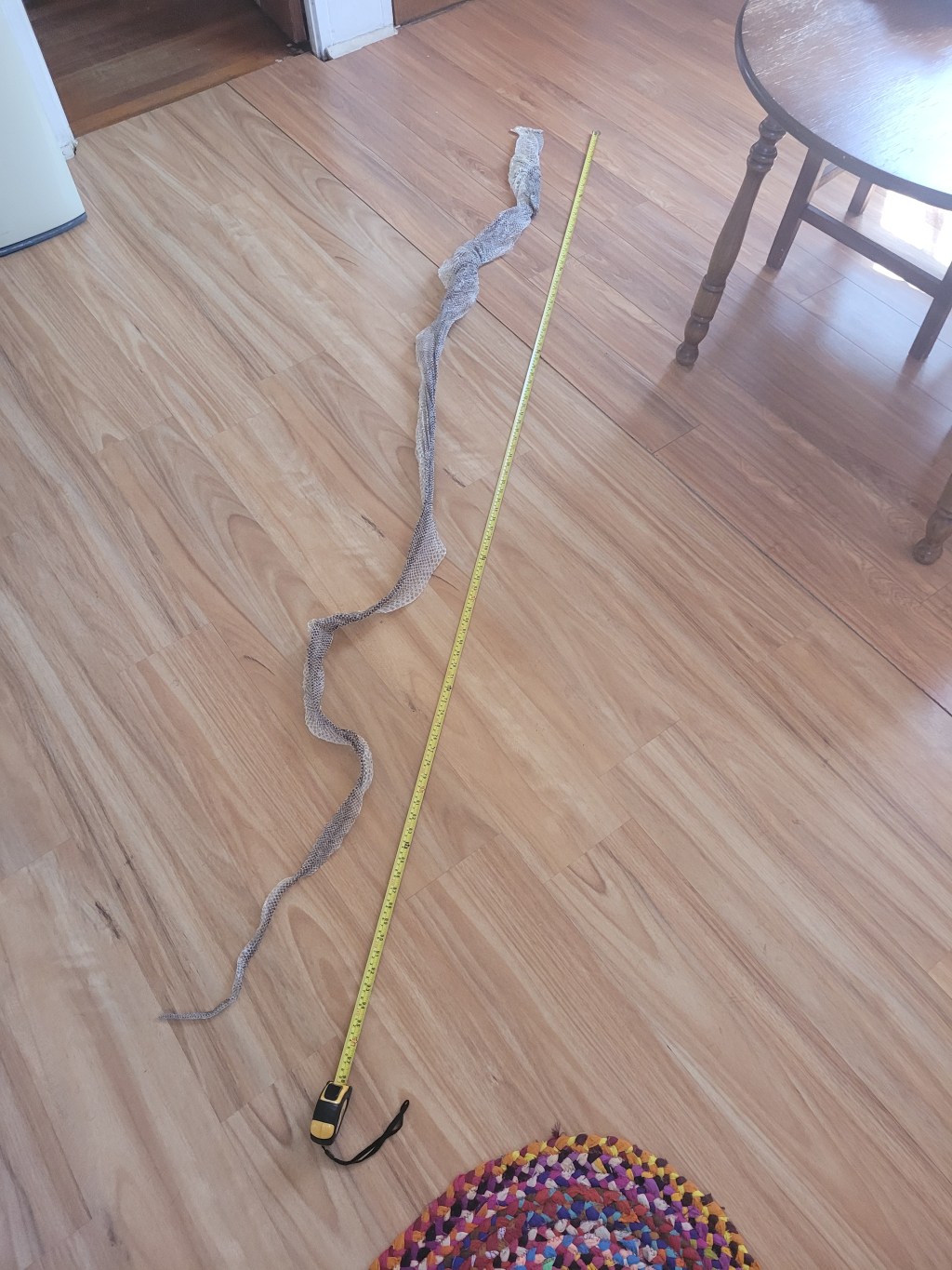 Sebastian shed his&nbsp;skin..