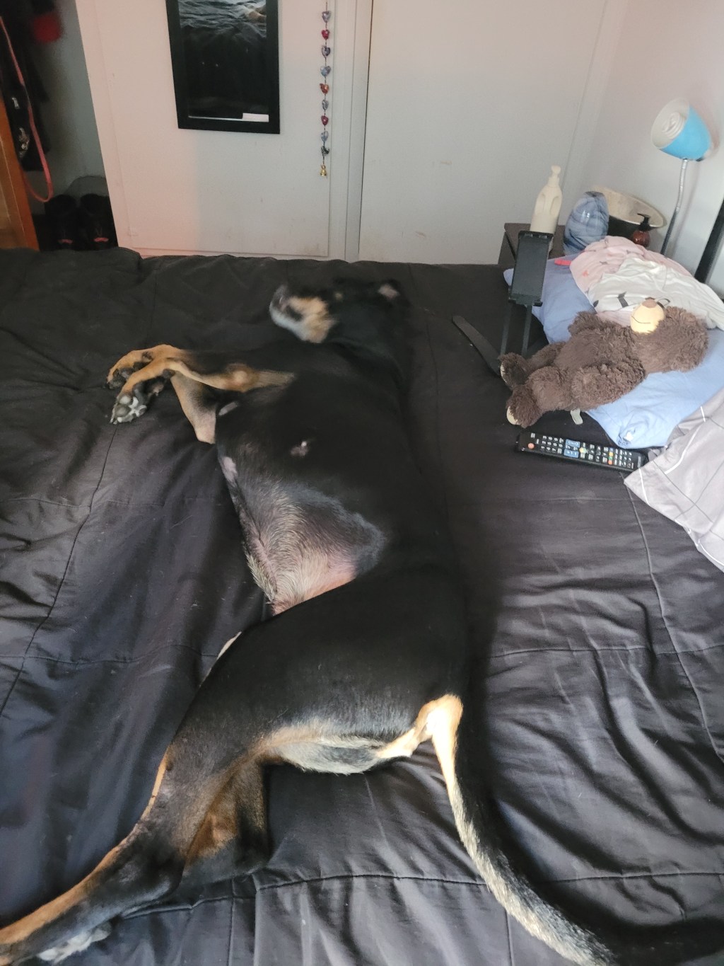 Part of me thinks I need to delete parts of the message to my family since I love them and said what I did because I was mad&nbsp;🤔🙄