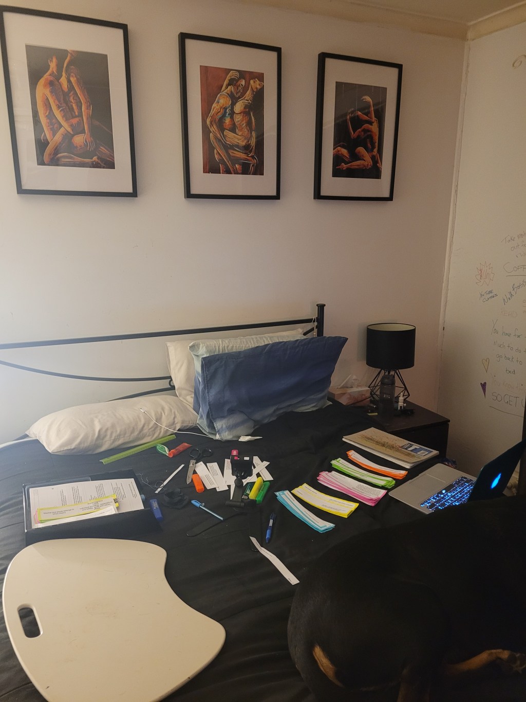 I’m very happy with how well my uni wall notes are coming along βΊοΈπ€