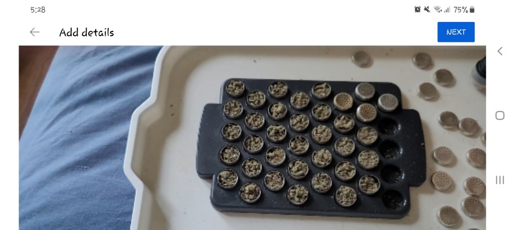 Day 39: 6th February 2022 – Part 4 – Listening to music while putting weed capsules together&nbsp;🙂