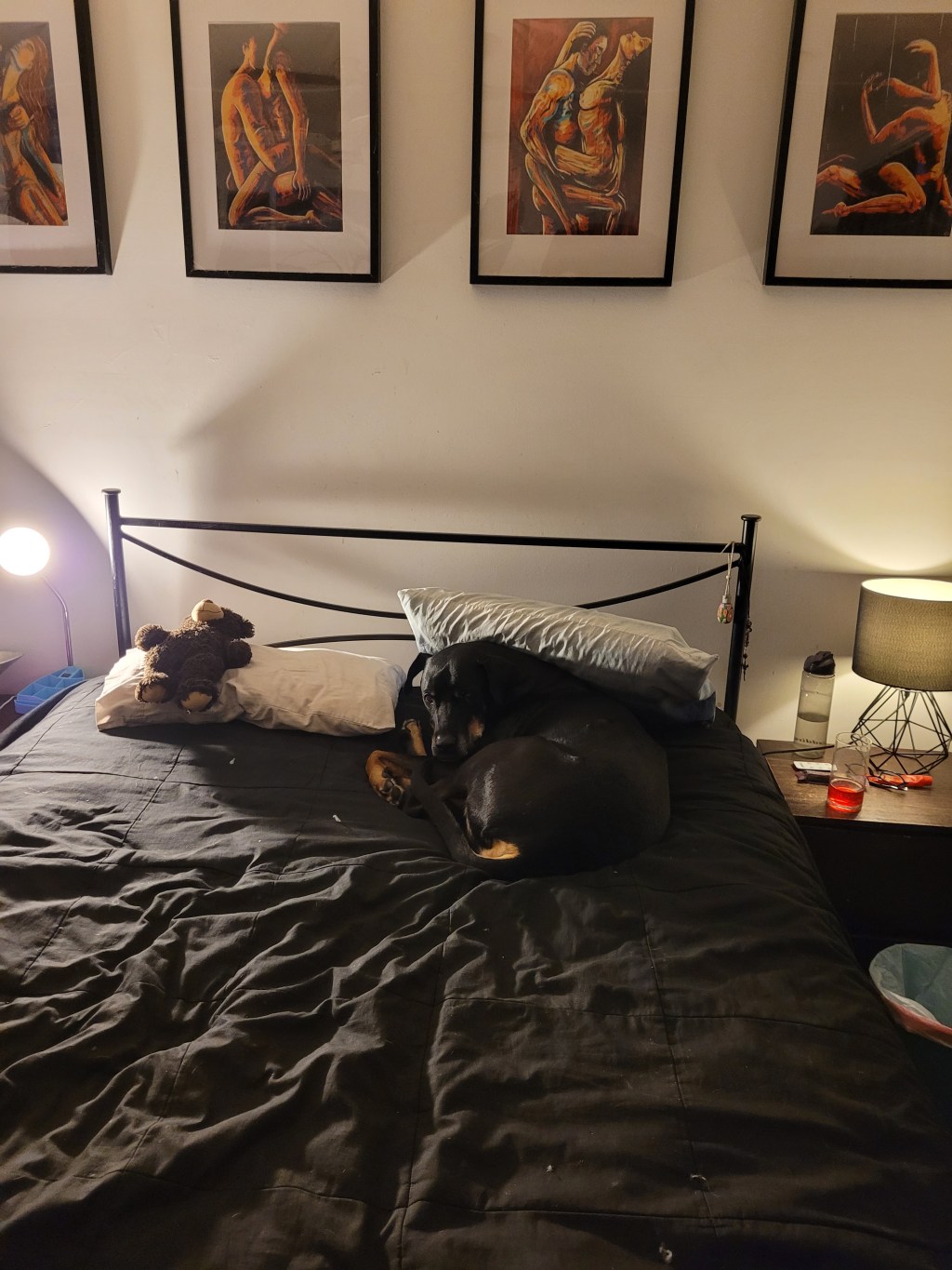 I’m ready to sleep 😴 just need to move Boss&nbsp;😅