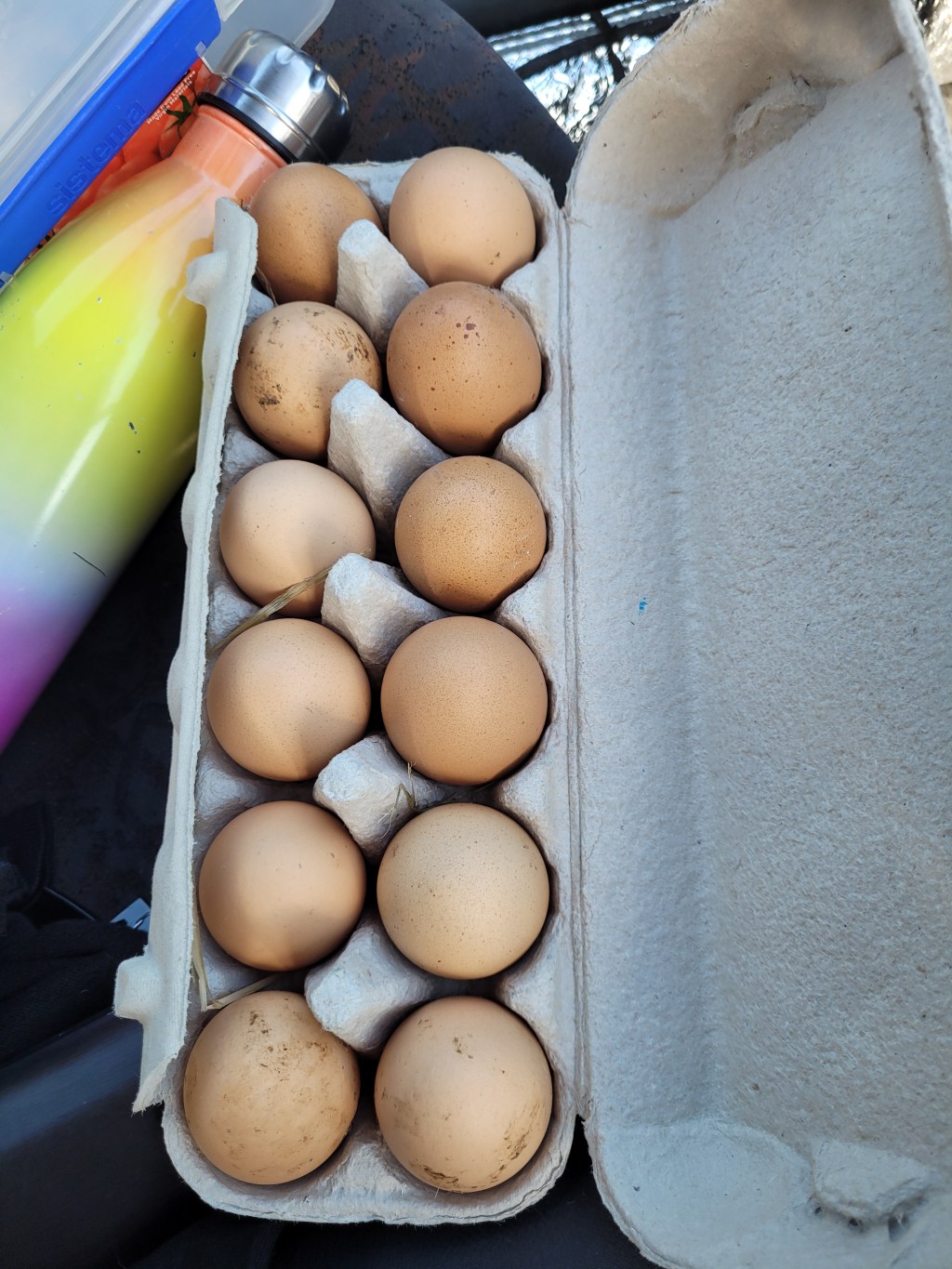 I am so HAPPY!! 🥳 I am finally back to being an ovo vegetarian&nbsp;😝