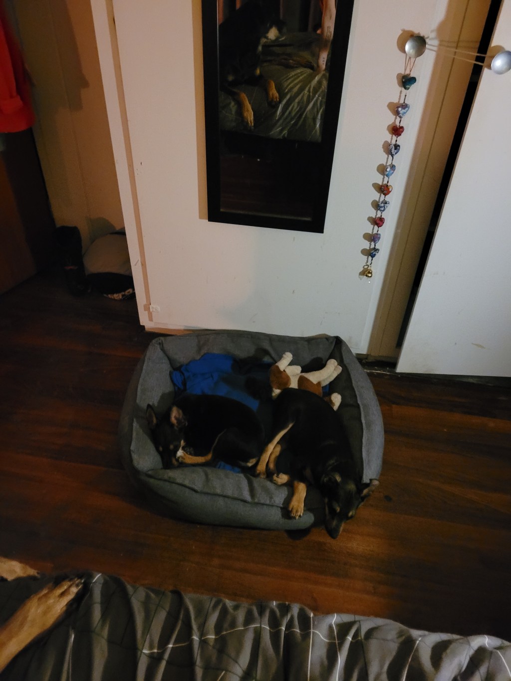 OMG They are asleep!!&nbsp;🙏😆😴