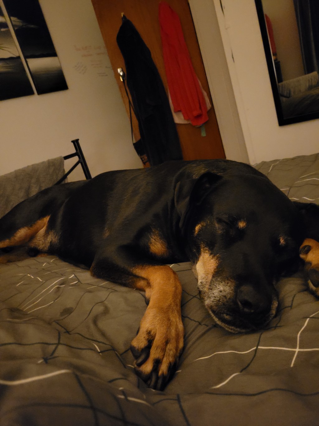 I’m looking forward to a day with just Boss tomorrow&nbsp;🥰