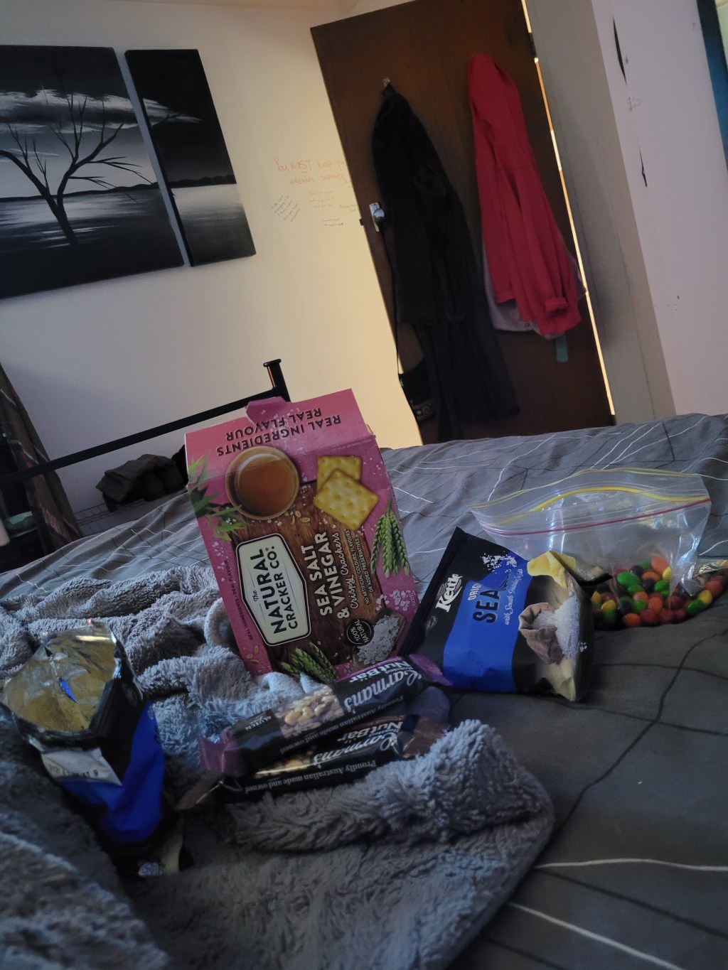 The puppies replacements&nbsp;🤣