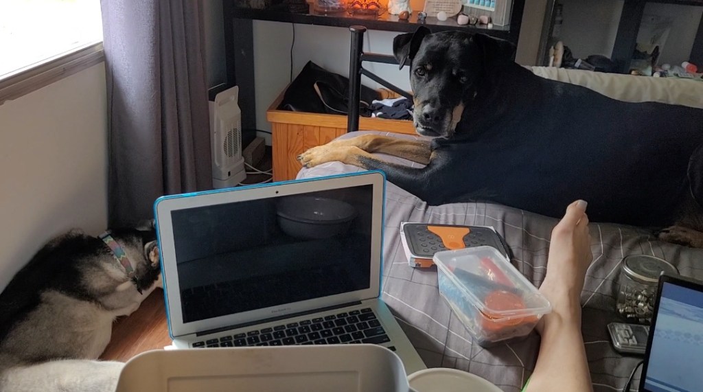 Day 81: 20th March 2022 | Packing Up My Weed&nbsp;😥😆