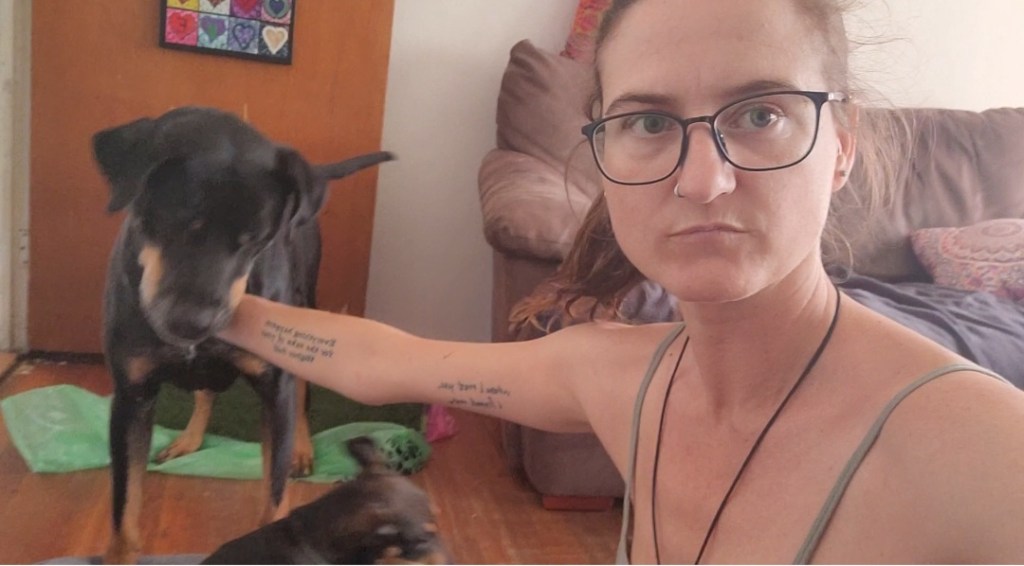 Day 89: 28th March 2022 | Part 2 | I attempted to get the puppies and Boss to settle inside&nbsp;😅