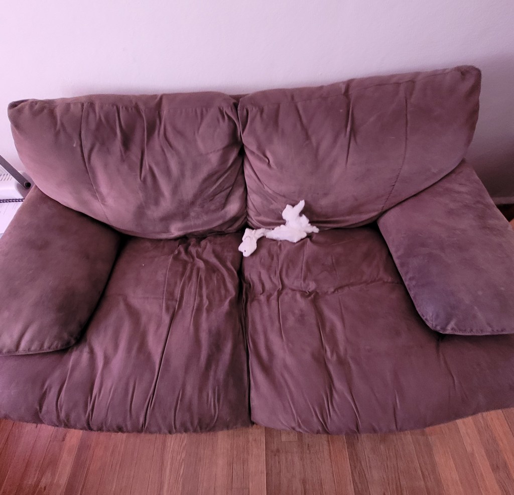 At some point, I’m going to have to replace this couch and give it to Boss&nbsp;🤣