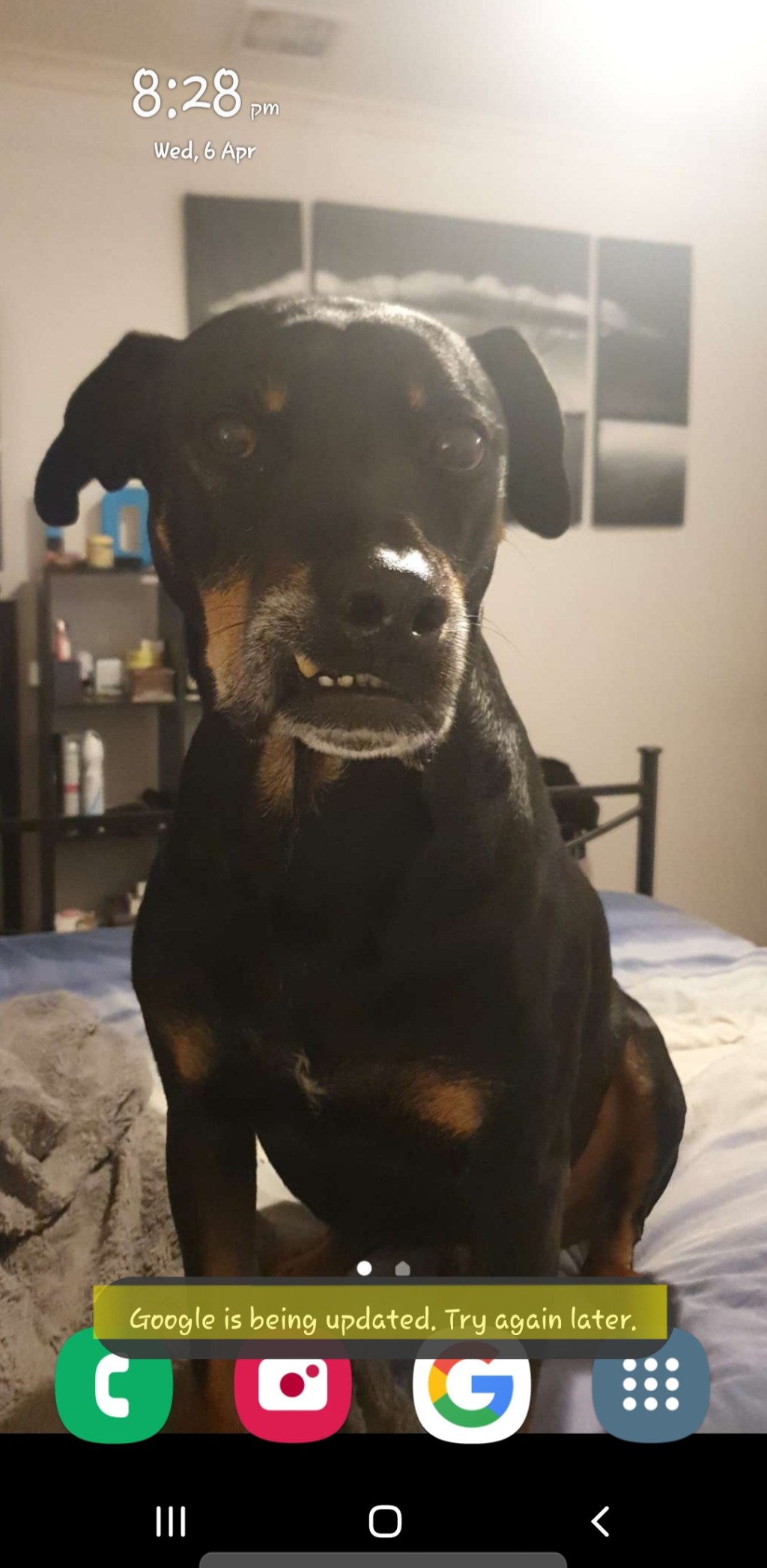 I have never seen this&nbsp;before