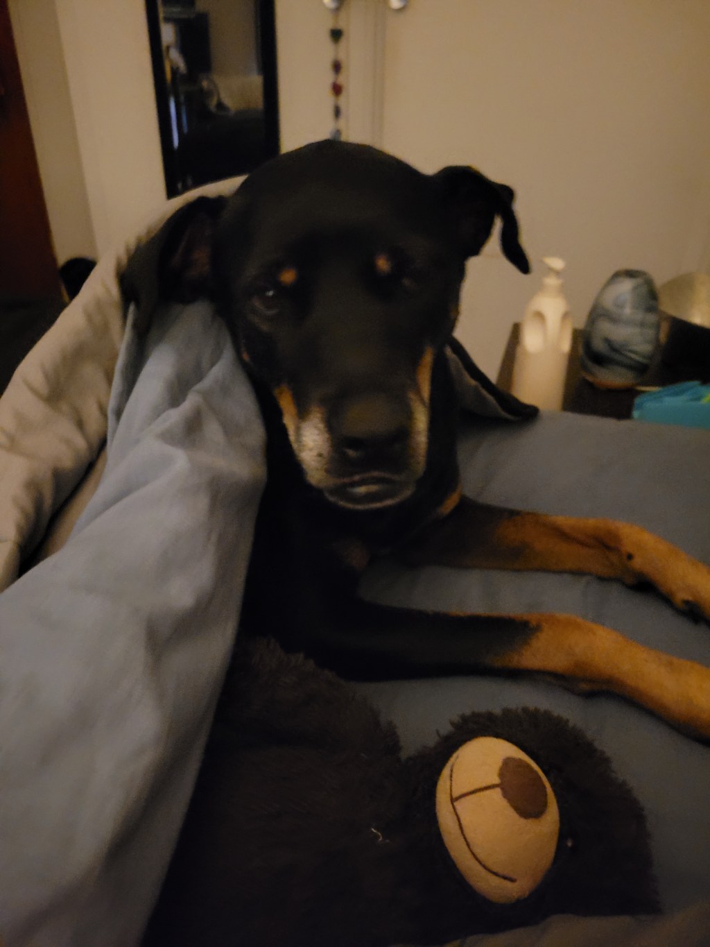 Boss just up from his nap&nbsp;♡