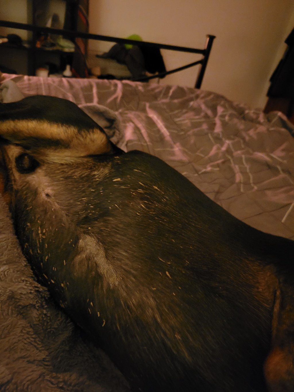 Ohh jeezzzeee 🤣🤣🤣🤣