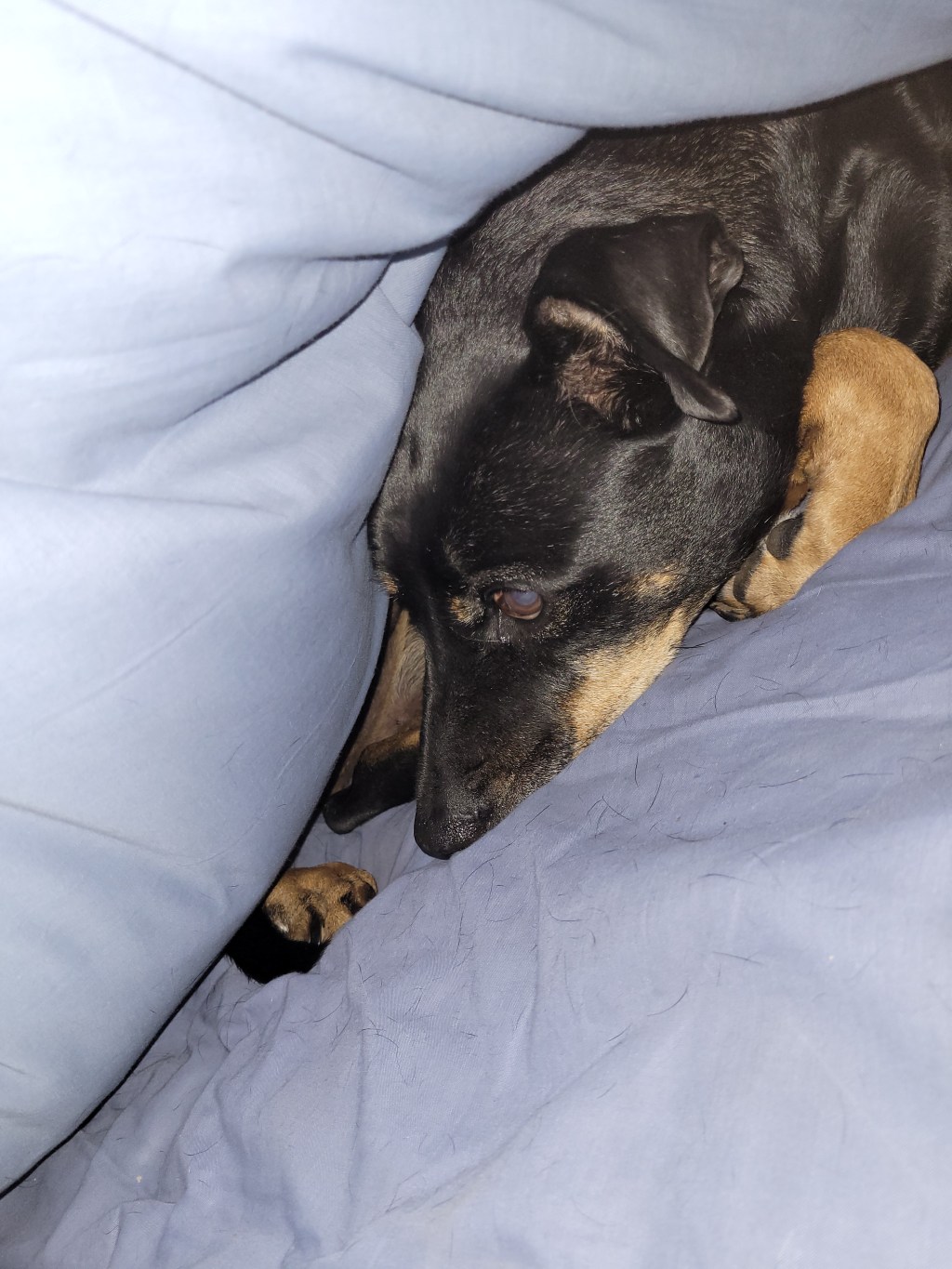 My bedtime is getting earlier and earlier. It’s&nbsp;6:33pm.