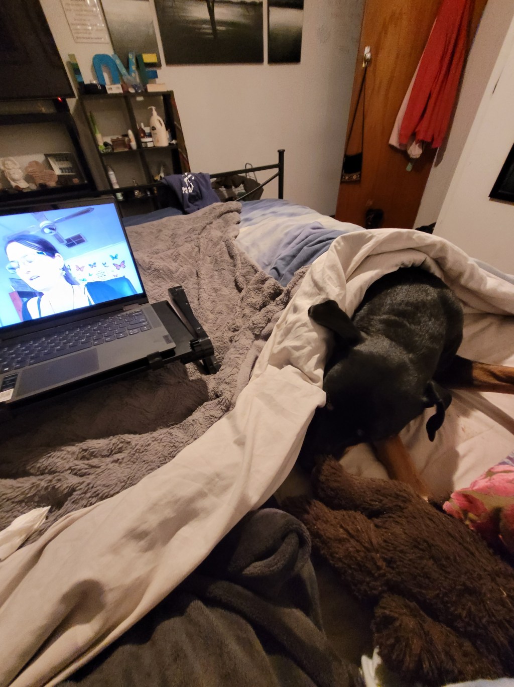 I am watching my last psychology appointment in bed with&nbsp;Boss🐕😁💕