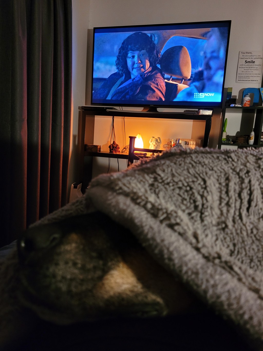 I spy the tip of Boss’s nose&nbsp;😆