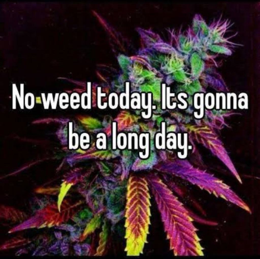 I totally forgot that I had written this note to myself before I went to sleep last night&nbsp;😅😂