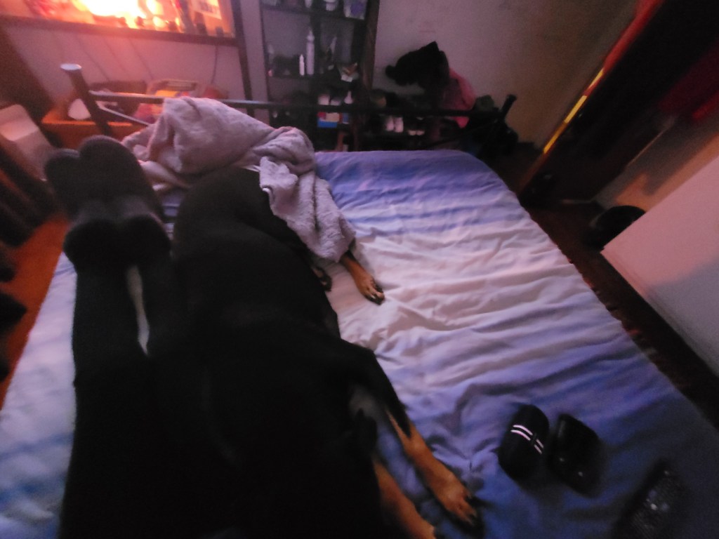 This is absolutely ridiculous&nbsp;😆😂