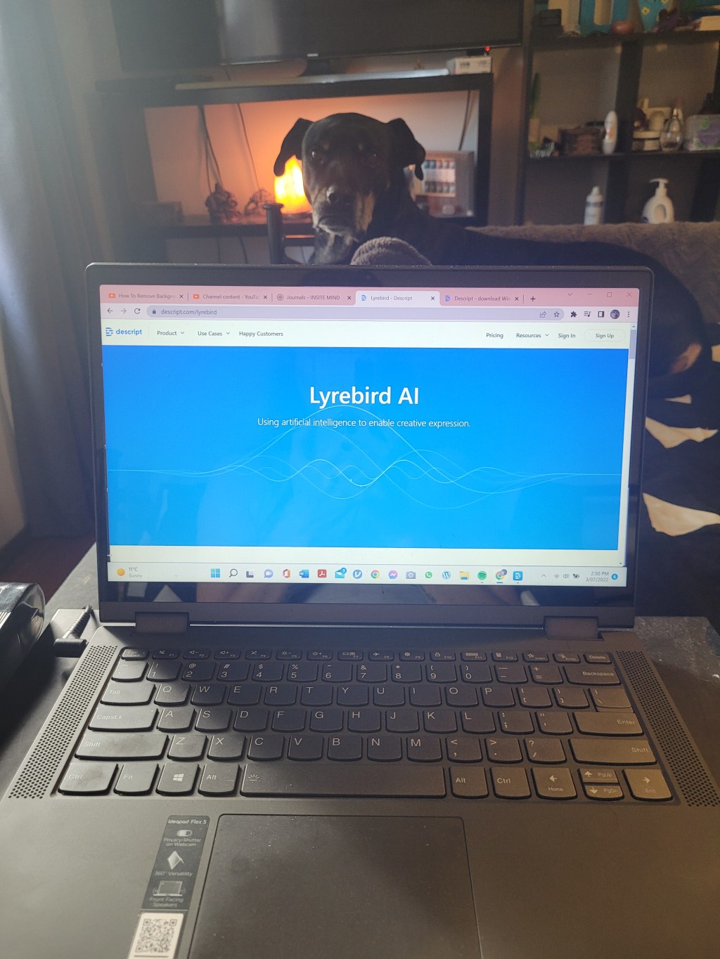 I am teaching myself how to remove background music from my videos&nbsp;😅😆