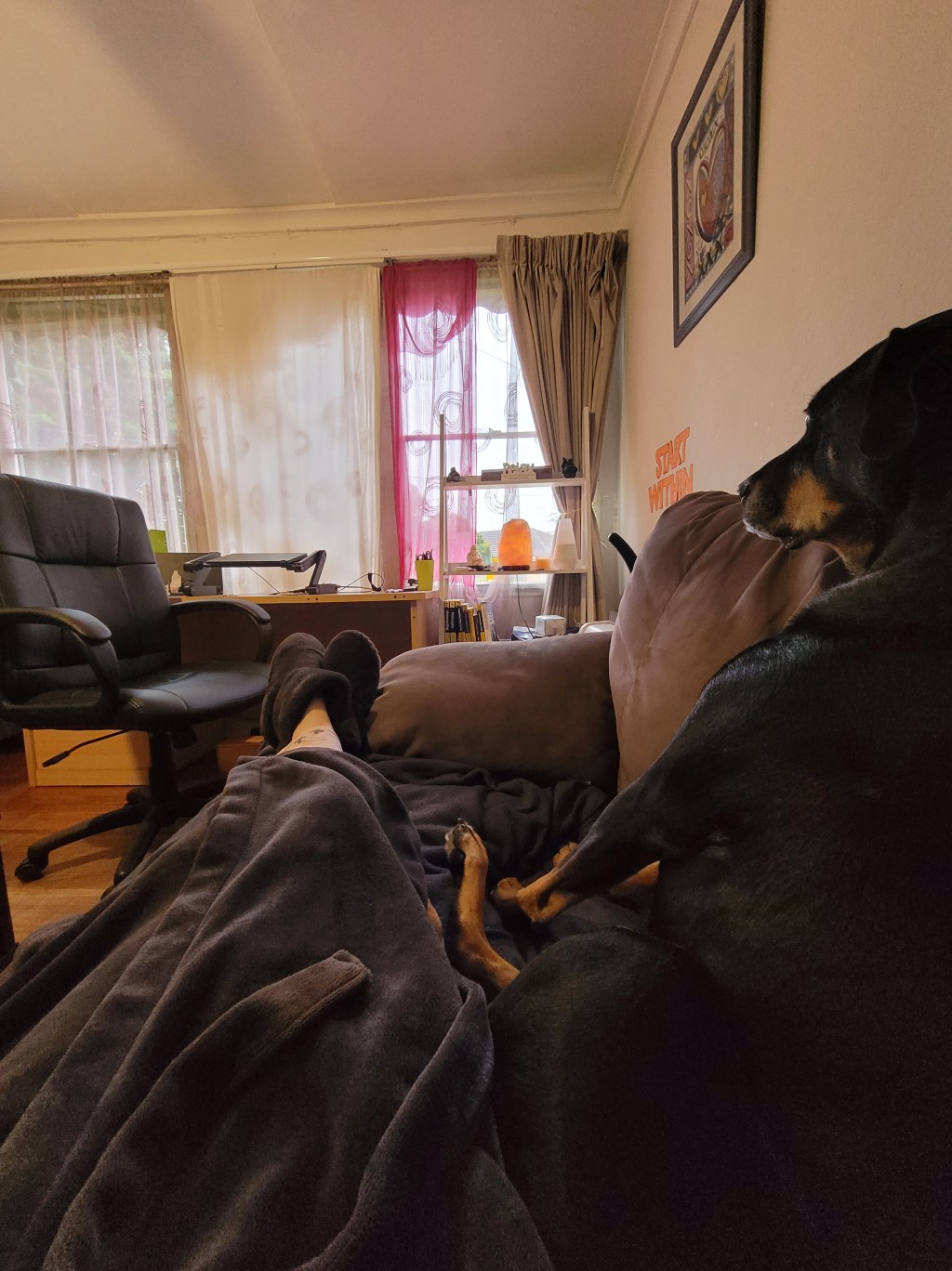 It’s my favourite kind of day!! Boss and I are watching the rain 🌧&nbsp;😌