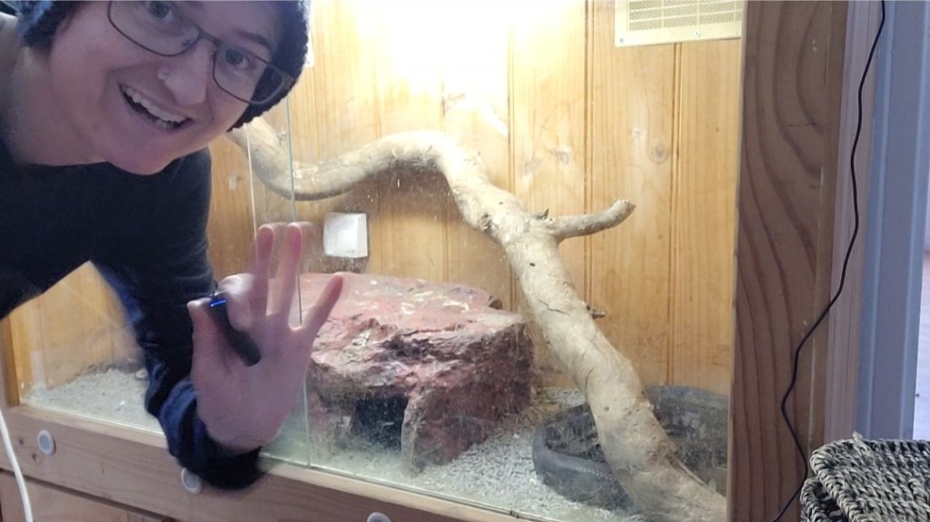 Day 184: 1st July 2022 | Part 2 | Trying to feed Sebastian take 1&nbsp;😆