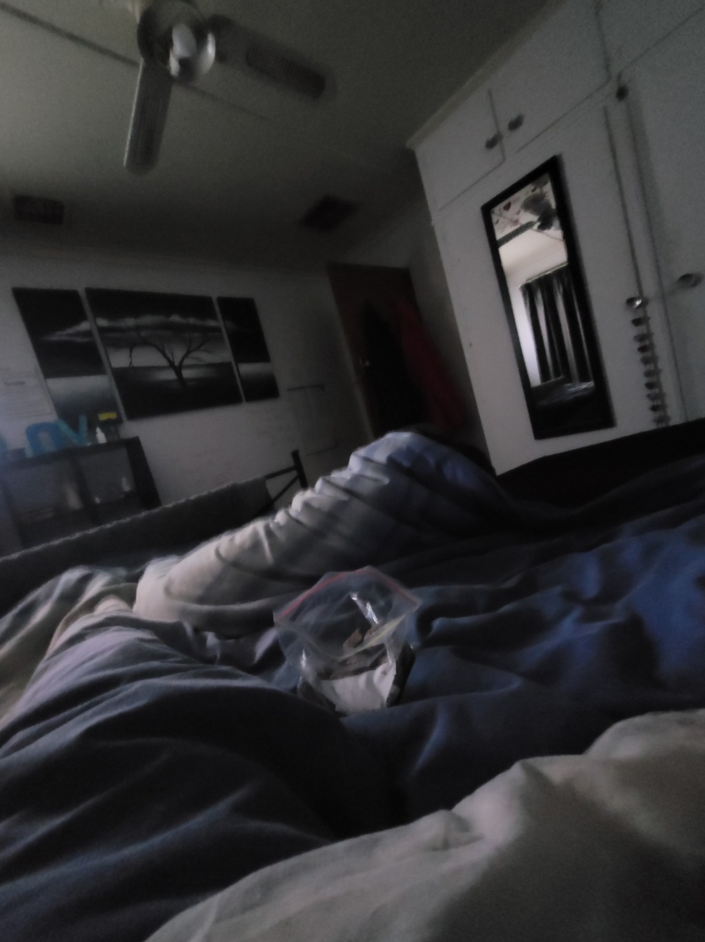 OMG Boss can hear himself barking on the video and running around the house&nbsp;😂