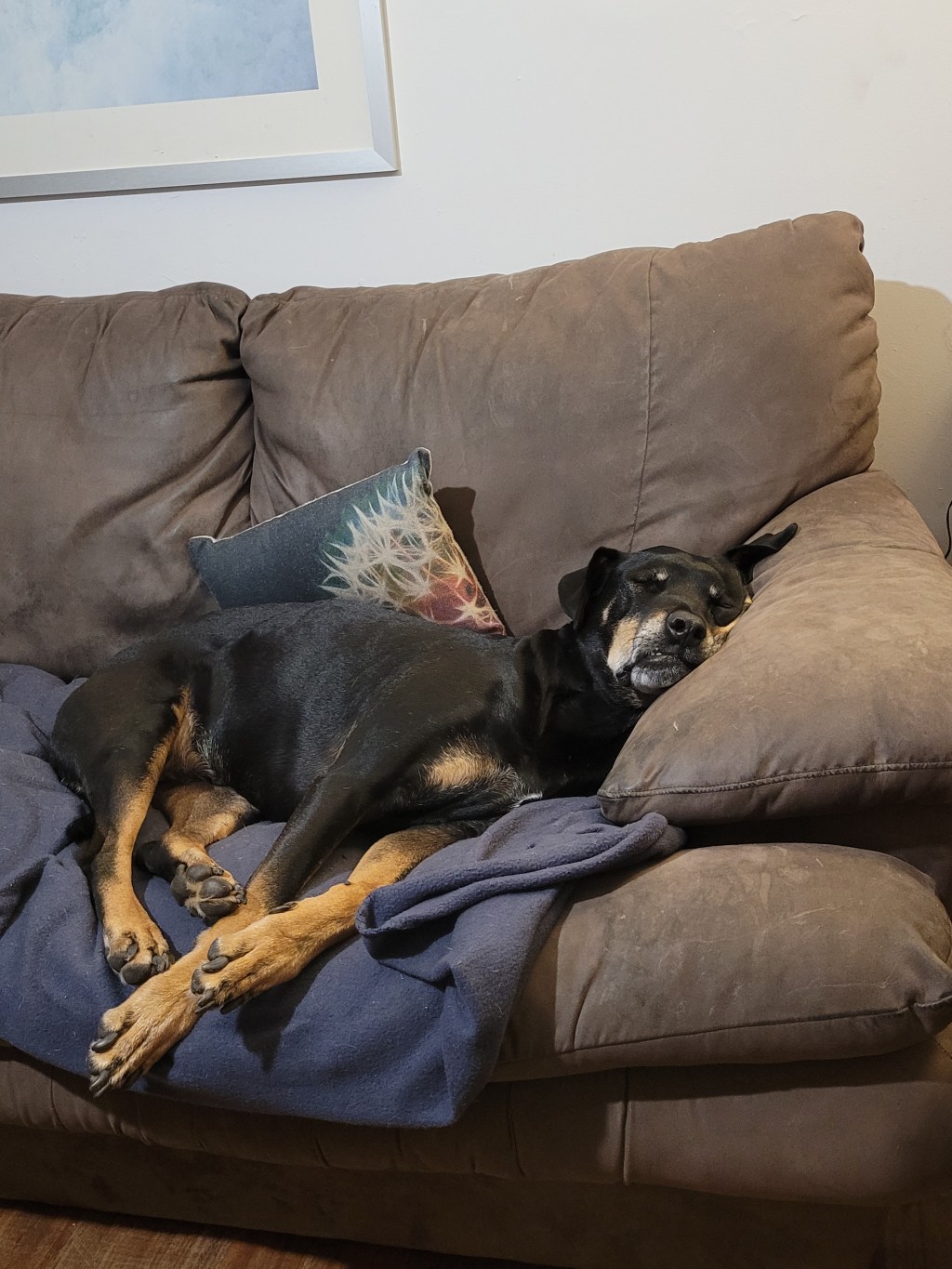 My Beautiful Best Friend&nbsp;😍