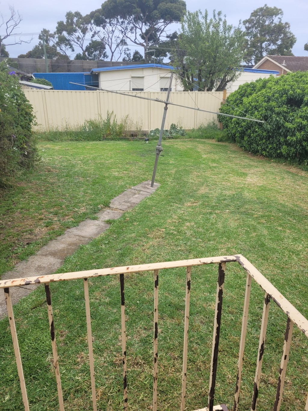 I am so happy with how awesome my back lawn looks&nbsp;😍