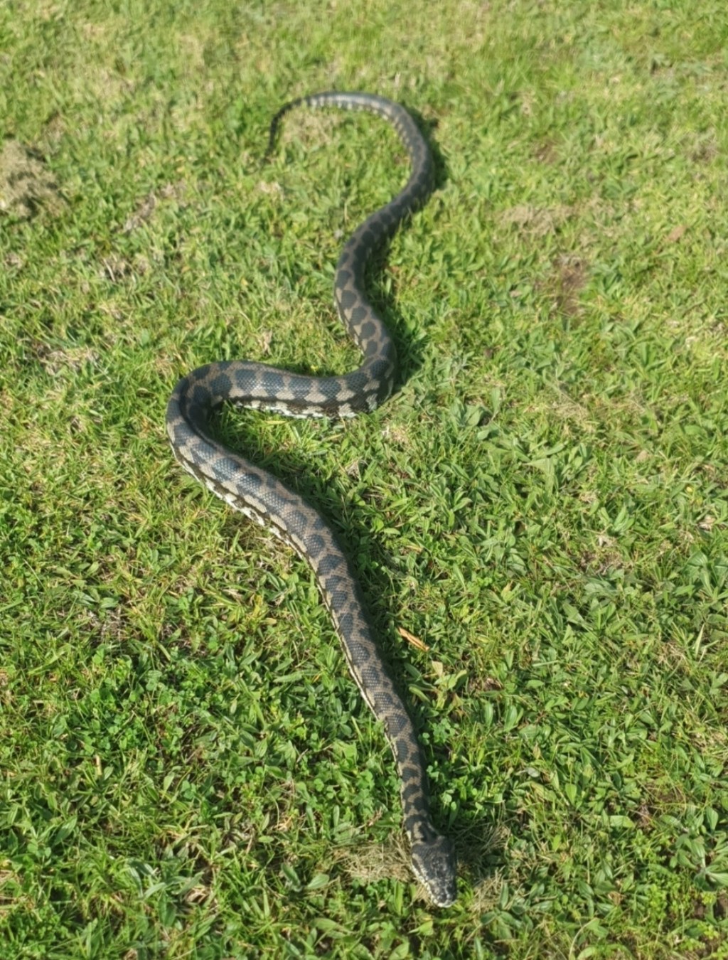 I’m feeling all sentimental&nbsp;💞