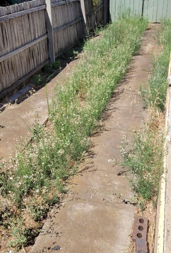 This is driving me insane&nbsp;😖