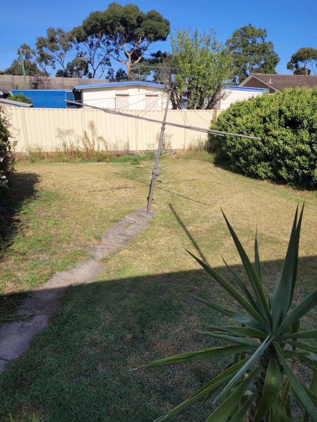 I mowed most of the backyard before stopping to go get my car battery replaced&nbsp;😁