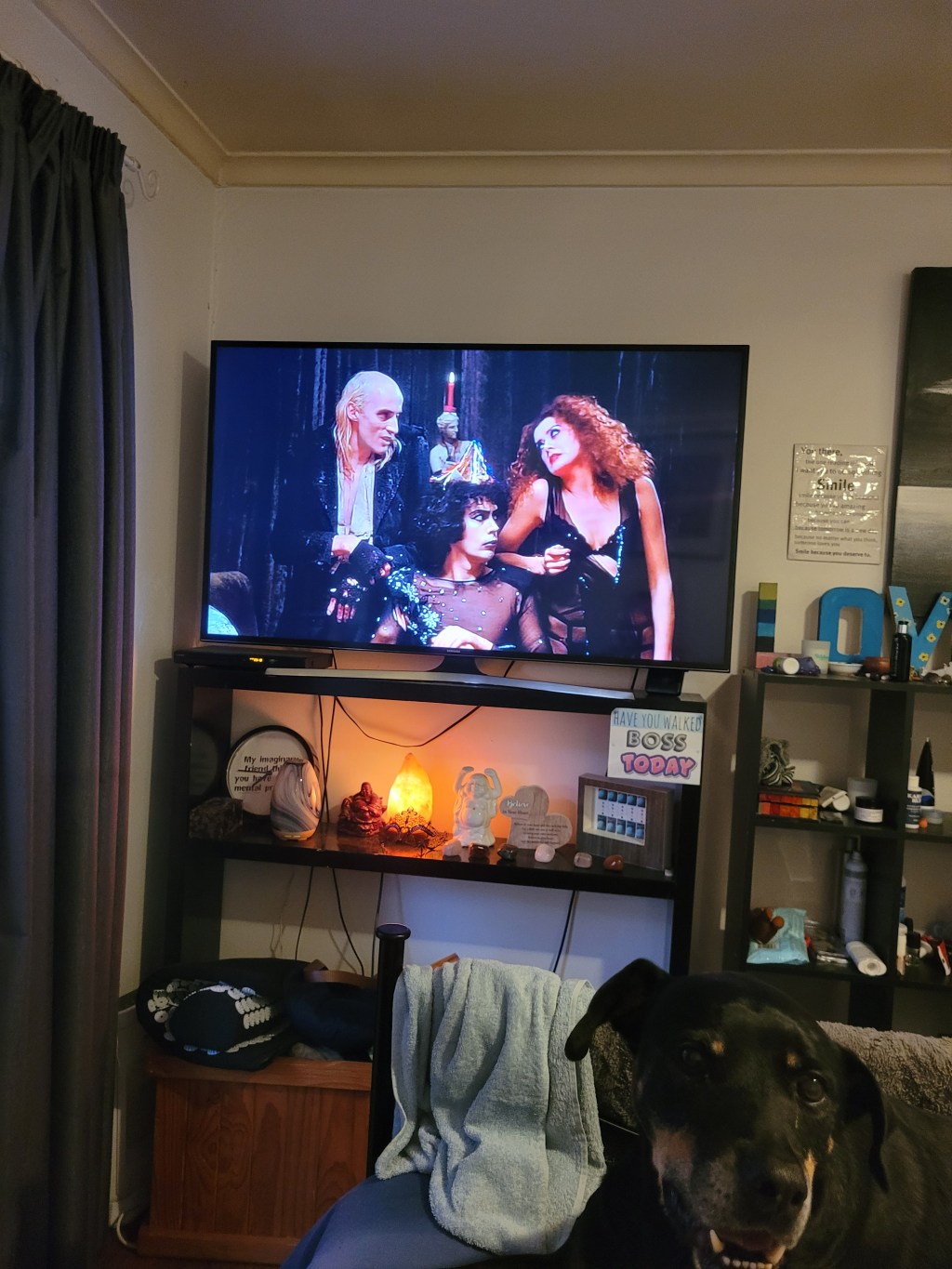 The Rocky Horror Picture Show is the best movie&nbsp;ever!!