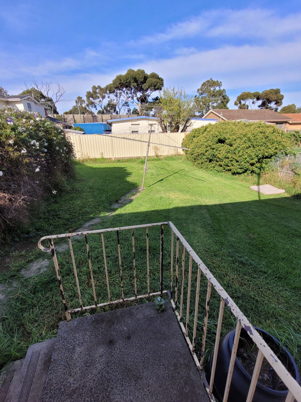 Day 486: 26th April 2023 | I ended up emptying the catcher after I made this video&nbsp;😝