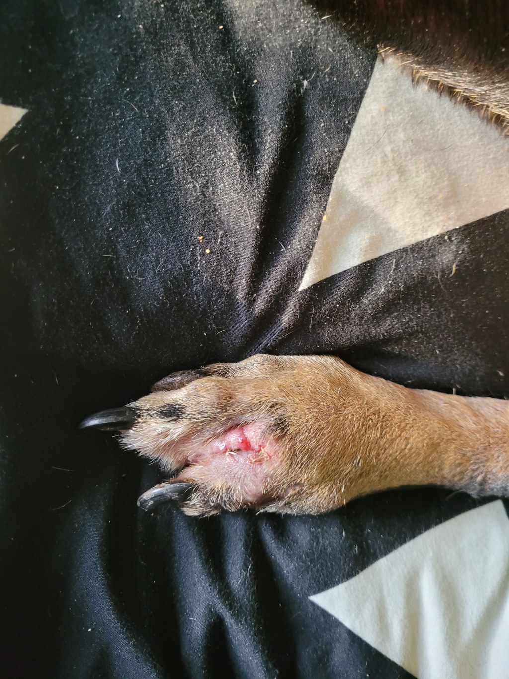 It’s definitely going to take a while for me to get used to&nbsp;😅